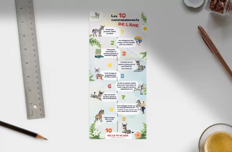 Infographie les 10 commandements Berry Bouz'âne