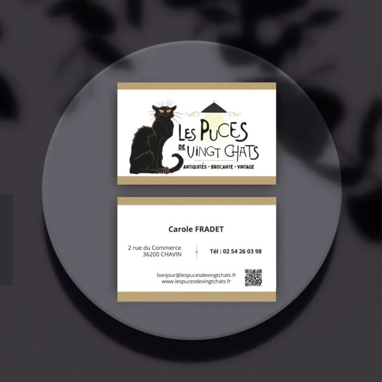 CarteDeVisite- Lespucesdevingtchats Carte de visite Les puces de vingt chats réalisé par Nexphasis informatique