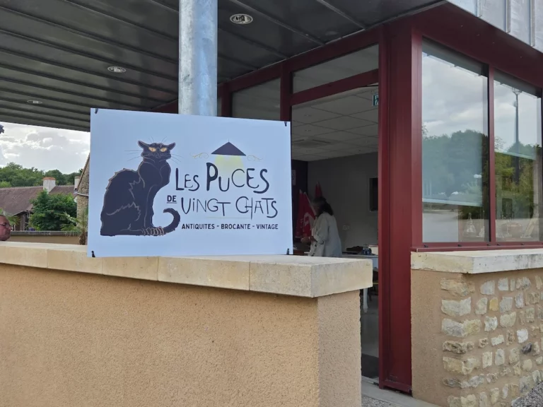 Conception graphique de l'Enseigne Les Puces de Vingt Chats réalisé par Nexphasis informatique Argenton sur creuse