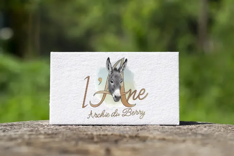 Logo l'Âne Archie du Berry réalisé par Nexphasis informatique