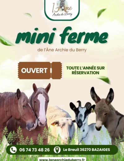 Pancarte réalisé par Nexphasis informatique pour l'âne Archie du Berry